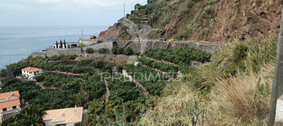 2295m² Land in Calheta, Portugal No. 141157 13