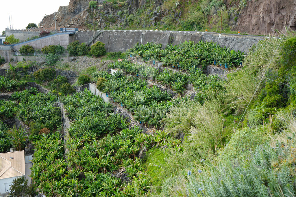 2295m² Land in Calheta, Portugal No. 141157