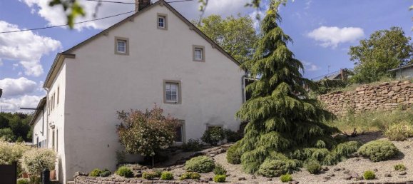 Casa de 1 dormitorio en Rhineland-Palatinate, Germany No. 163301 4