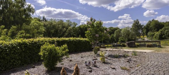 Casa de 1 dormitorio en Rhineland-Palatinate, Germany No. 163301 7