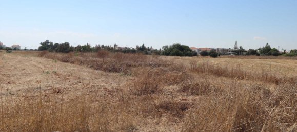  فيلا في Frenaros, Cyprus رقم 24128 2