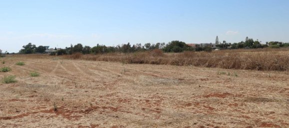  فيلا في Frenaros, Cyprus رقم 24128 3