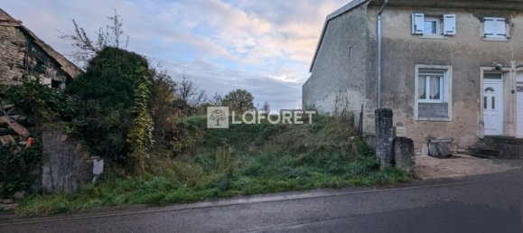 Земельный участок с 1 спальней в Мезьер, Франция № 159546 5