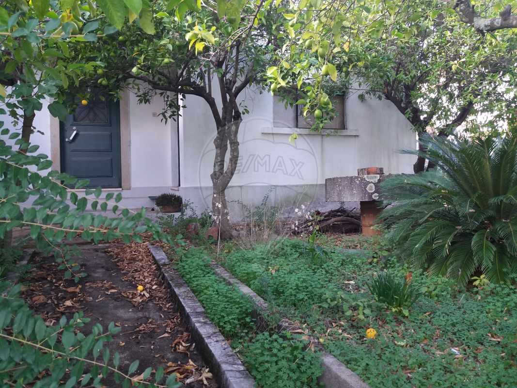 3 bedrooms House in Proenca a Nova, Portugal No. 179218