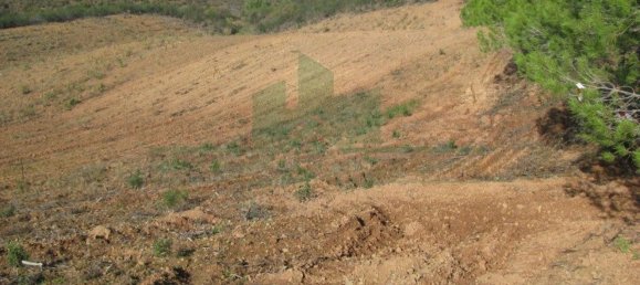 Grundstück in Azinhal, Portugal 8360m², Nr. 68199 4