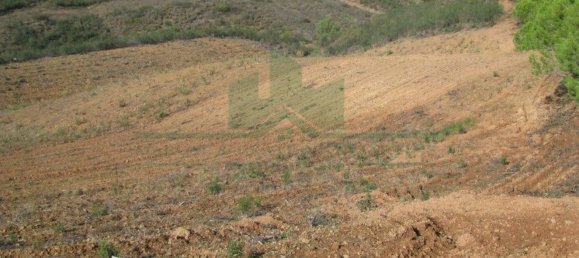 Grundstück in Azinhal, Portugal 8360m², Nr. 68199 2