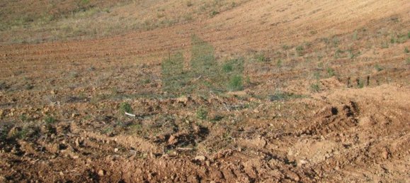 Grundstück in Azinhal, Portugal 8360m², Nr. 68199 3