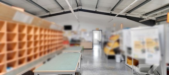 Lagerhaus in Neustadt an der Waldnaab, Germany 672m², Nr. 295230 11