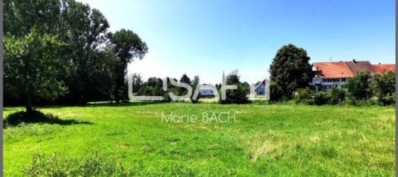 5 غرف نوم منزل في Drulingen, France رقم 217114 2