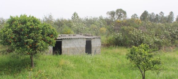 3 bedrooms House in Idanha a Nova, Portugal No. 173324 20