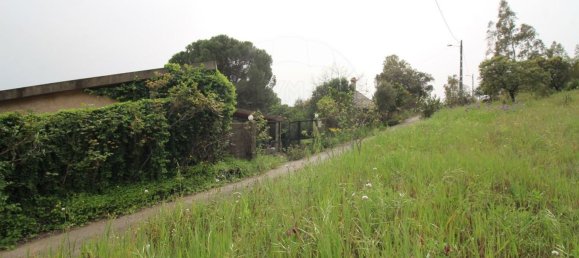 3 bedrooms House in Idanha a Nova, Portugal No. 173324 17