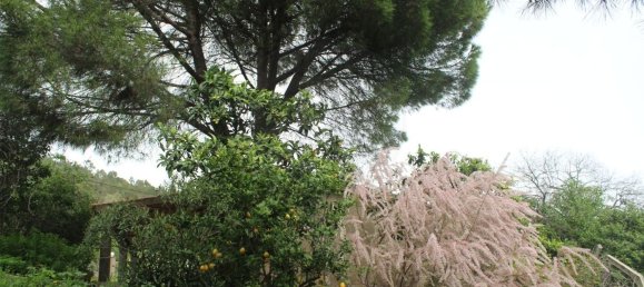 3 bedrooms House in Idanha a Nova, Portugal No. 173324 25