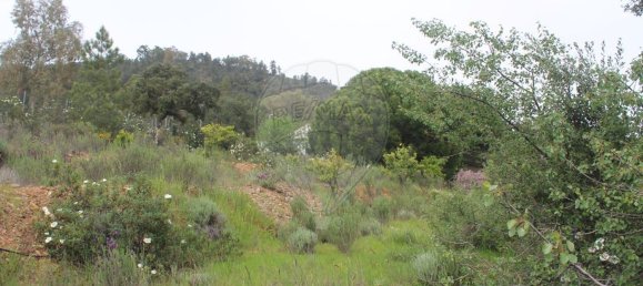 3 bedrooms House in Idanha a Nova, Portugal No. 173324 26