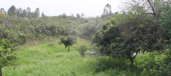 3 bedrooms House in Idanha a Nova, Portugal No. 173324 24