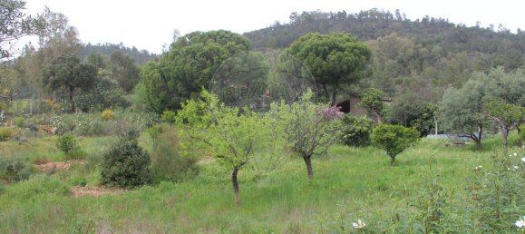 3 bedrooms House in Idanha a Nova, Portugal No. 173324 27