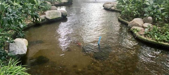 Кондоминиум с 3 спальнями в Паттайя, Чонбури, Восточный Таиланд, Таиланд № 172 16