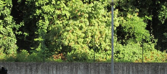 2 غرف نوم شقة في Casalmaggiore, Italy رقم 323455 11