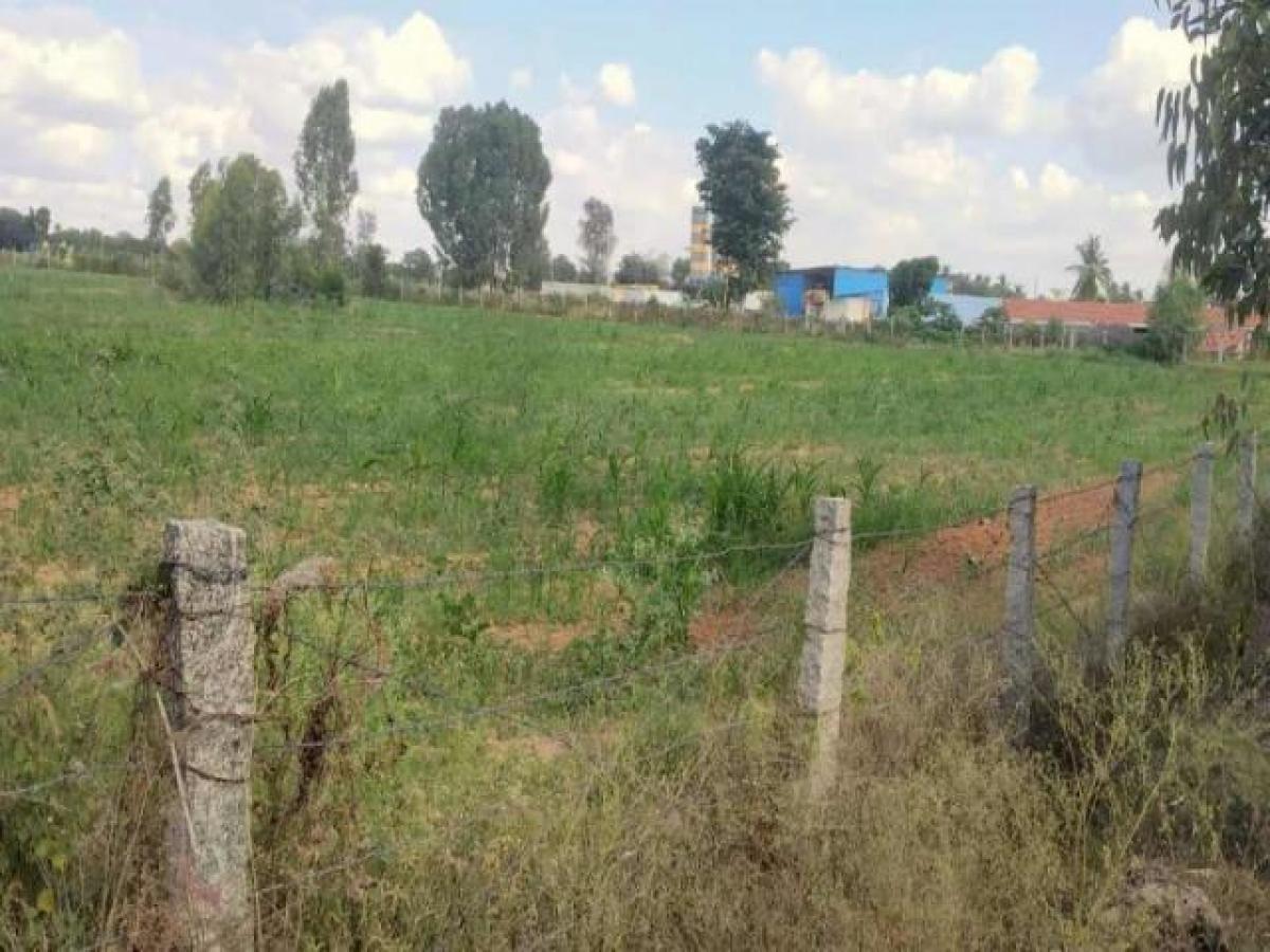  Land in Bangalore, India No. 29426