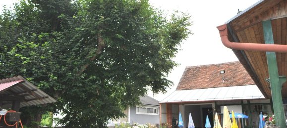 Коммерческая недвижимость в Ханнерсдорф, Австрия № 129864 31