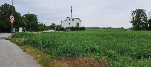  Land in Gross-Enzersdorf, Austria No. 18421 2