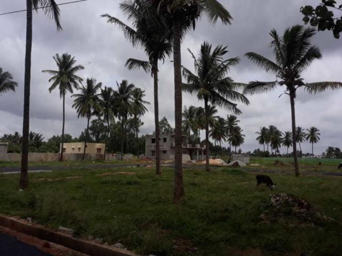 Grundstück in Bangalore, India, Nr. 33680