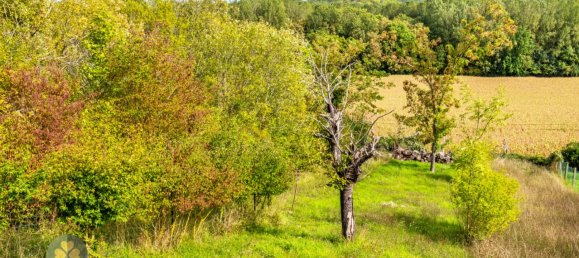 3 bedrooms Villa in Aulnay-sur-Mauldre, France No. 184487 5