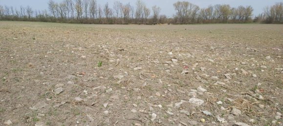 Земельный участок 6031м² в Энцерсдорф ан дер Фиша, Австрия № 122769 2