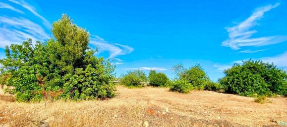 Terreno em Almancil, Portugal 5371 m² N.º 208583 2