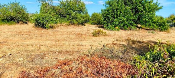 Terreno em Almancil, Portugal 5371 m² N.º 208583 5