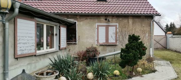 Quinta T4 em Jerichower Land, Germany N.º 169447 2