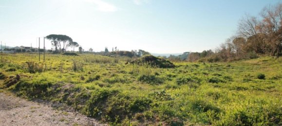 Земельный участок 11380м² в Кондейша а Нова, Португалия № 90017 9