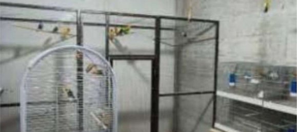 4 غرف نوم منزل في Castelnuovo Don Bosco, Italy رقم 380518 24