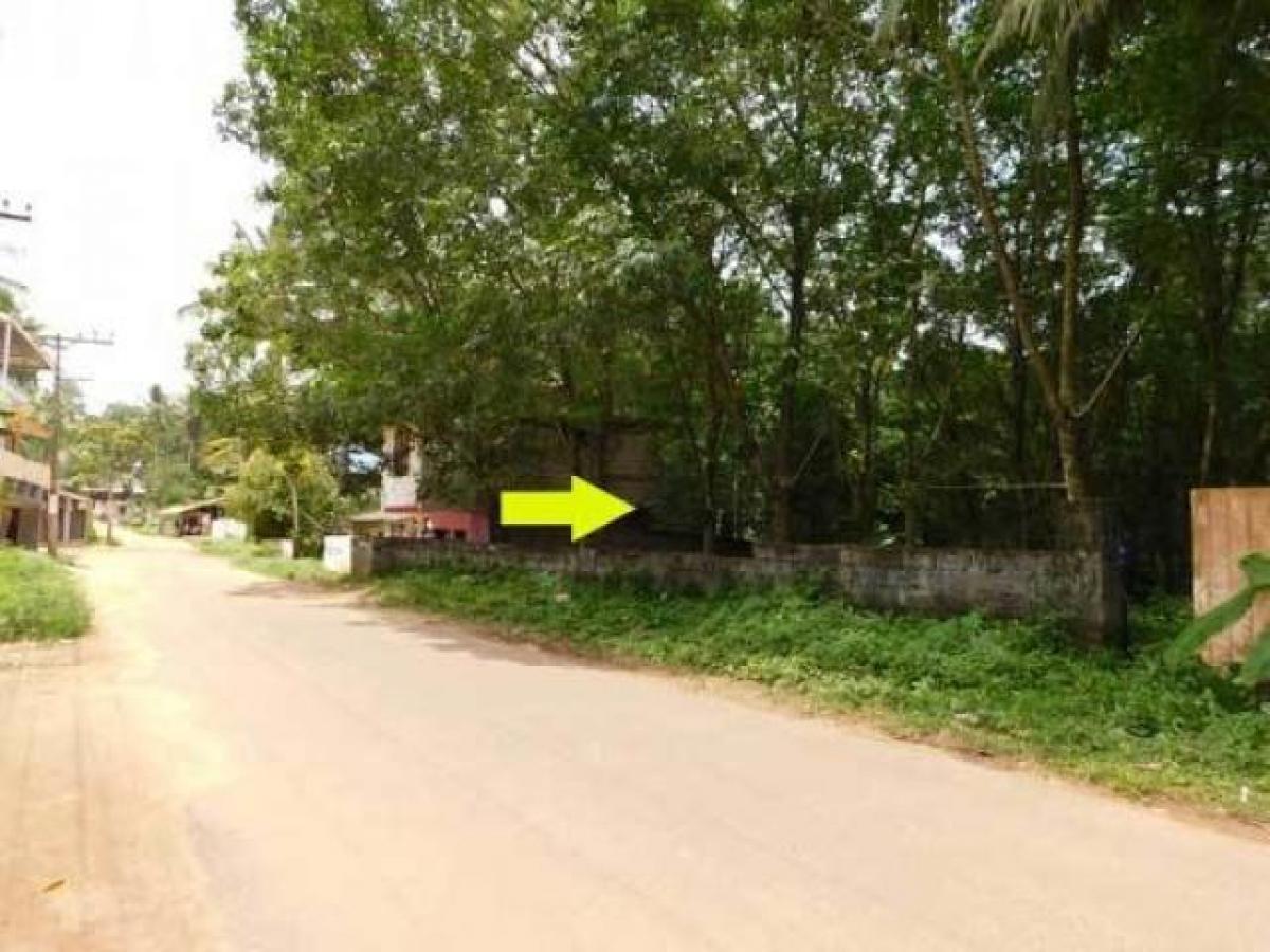  Land in Thiruvananthapuram, India No. 65794