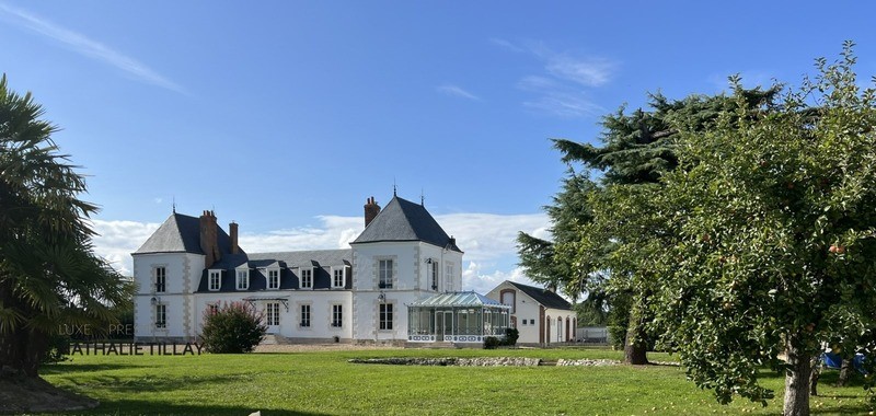 5 bedrooms Castles in Orleans, France No. 346277