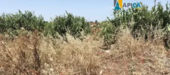 Terrain à Cadiz, Spain No. 170652 5