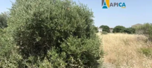 Terrain à Cadiz, Spain No. 170652 7