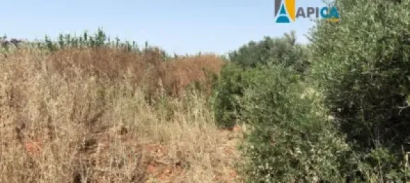 Terrain à Cadiz, Spain No. 170652 2