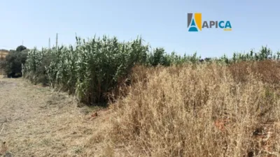 Terreno em Cadiz, Spain N.º 170652