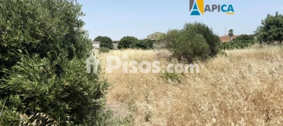 Terrain à Cadiz, Spain No. 170652 8