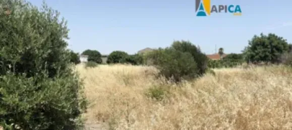 Terrain à Cadiz, Spain No. 170652 4