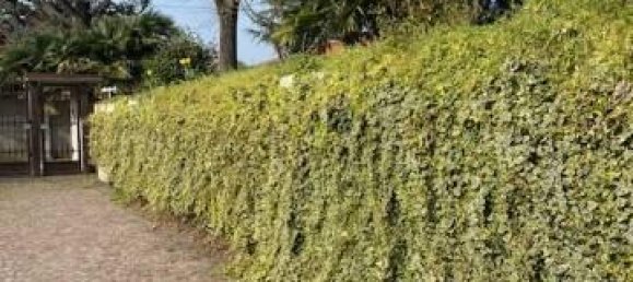 6 rooms Villa in Settimo Milanese, Italy No. 25579 37