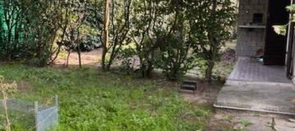 6 rooms Villa in Settimo Milanese, Italy No. 25579 42