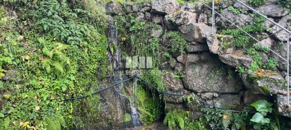 Grundstück in Baiao, Portugal 6300m², Nr. 49729 8