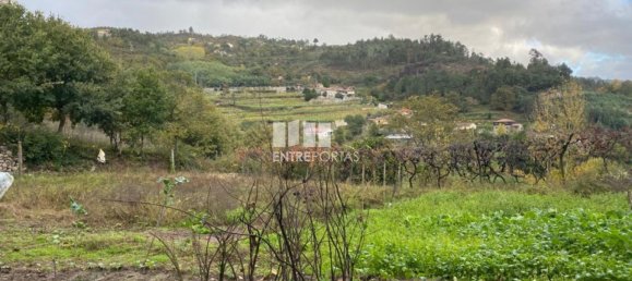 Grundstück in Baiao, Portugal 6300m², Nr. 49729 25