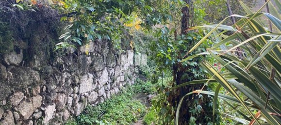 Grundstück in Baiao, Portugal 6300m², Nr. 49729 5