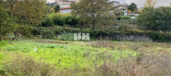 Grundstück in Baiao, Portugal 6300m², Nr. 49729 27