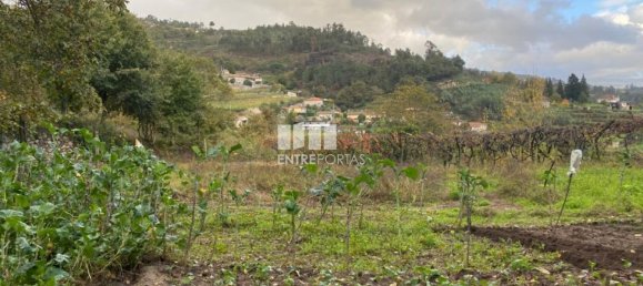 Grundstück in Baiao, Portugal 6300m², Nr. 49729 21