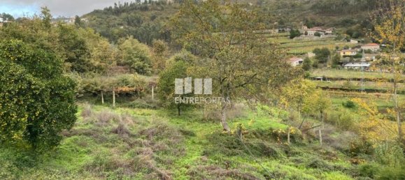 Grundstück in Baiao, Portugal 6300m², Nr. 49729 22