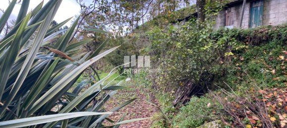 Grundstück in Baiao, Portugal 6300m², Nr. 49729 17