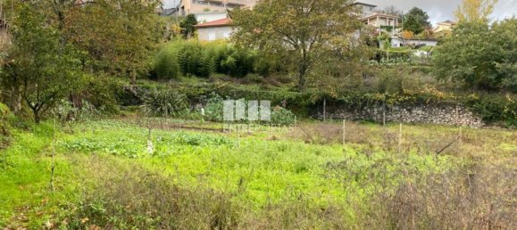 Grundstück in Baiao, Portugal 6300m², Nr. 49729 14